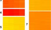 Soybean gene expression measurements