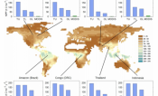 . Global distribution of predicted maximum net primary production (NPP; tC ha−1 y−1 ) based on the theoretical maximum light conversion efficiency and accounting for water limitation