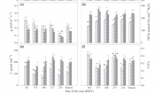 Maize responses to high CO2 and warming