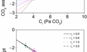 intercellular CO2 photorespiratory CO2 compensation point