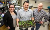 Amanda Cavanagh, Paul South, Don Ort, seedlings