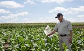 Don Ort in a field inspecting a bagged plant 