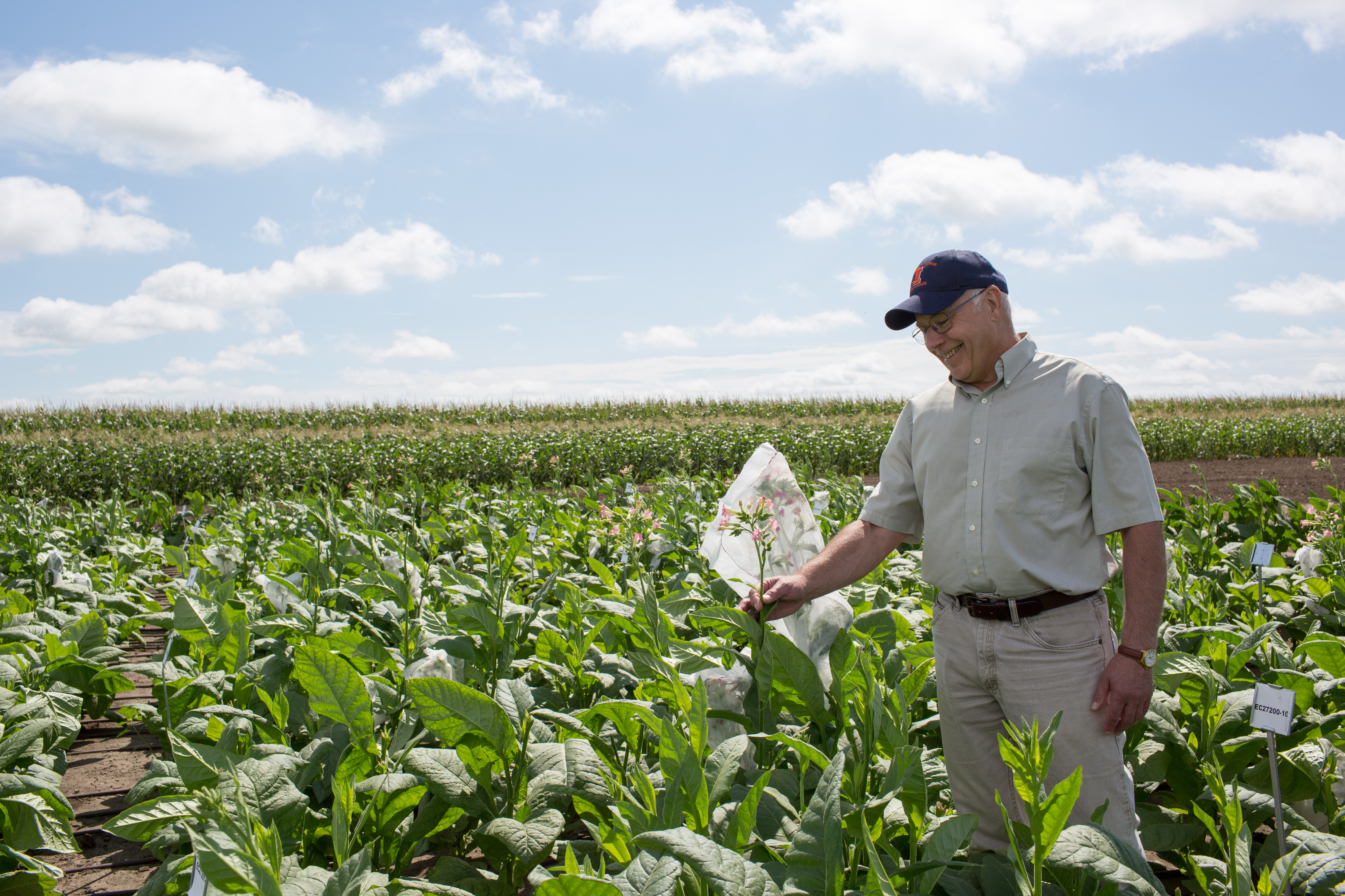 Donald Ort in research field plot
