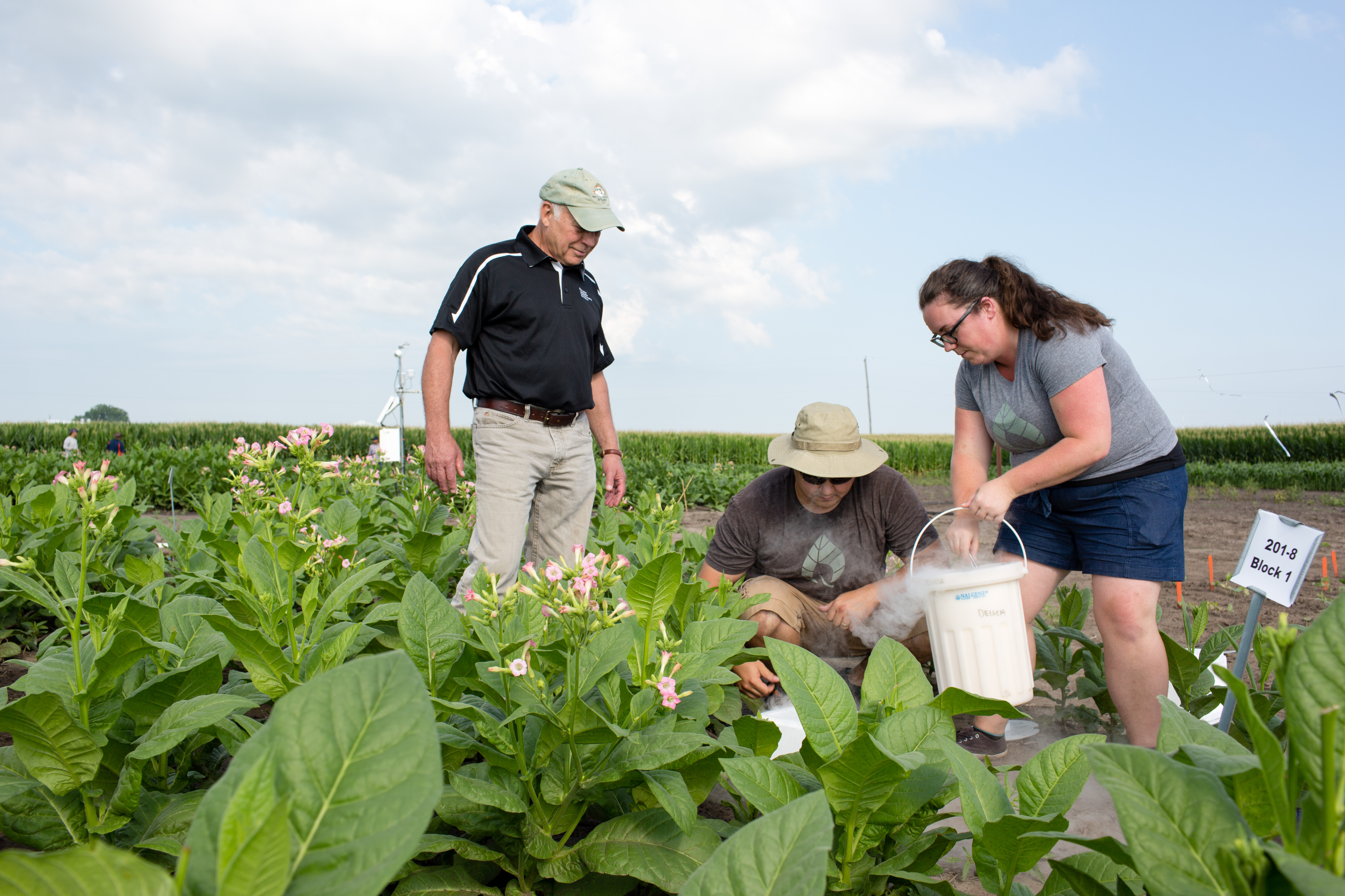 Working in field