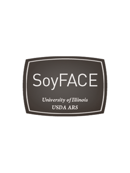 Soyface